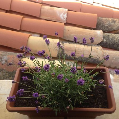 Gerani House Villa เชฟาลู ภายนอก รูปภาพ